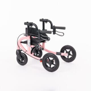 Cruiser 2